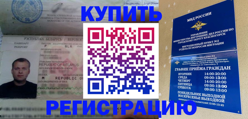 прописка законно в Камышлове